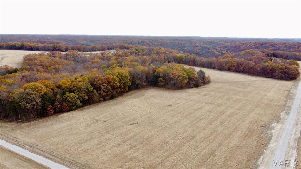 Polston Farms - Farm