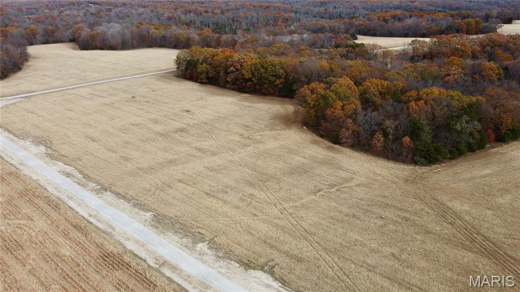 Polston Farms - Farm