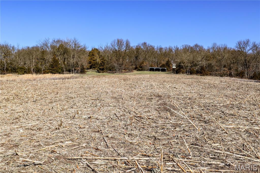 N/A - Farm