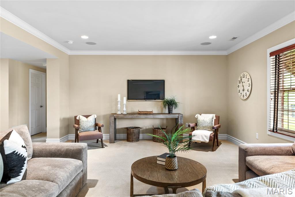 Villas At Meadowbrook The - Residential