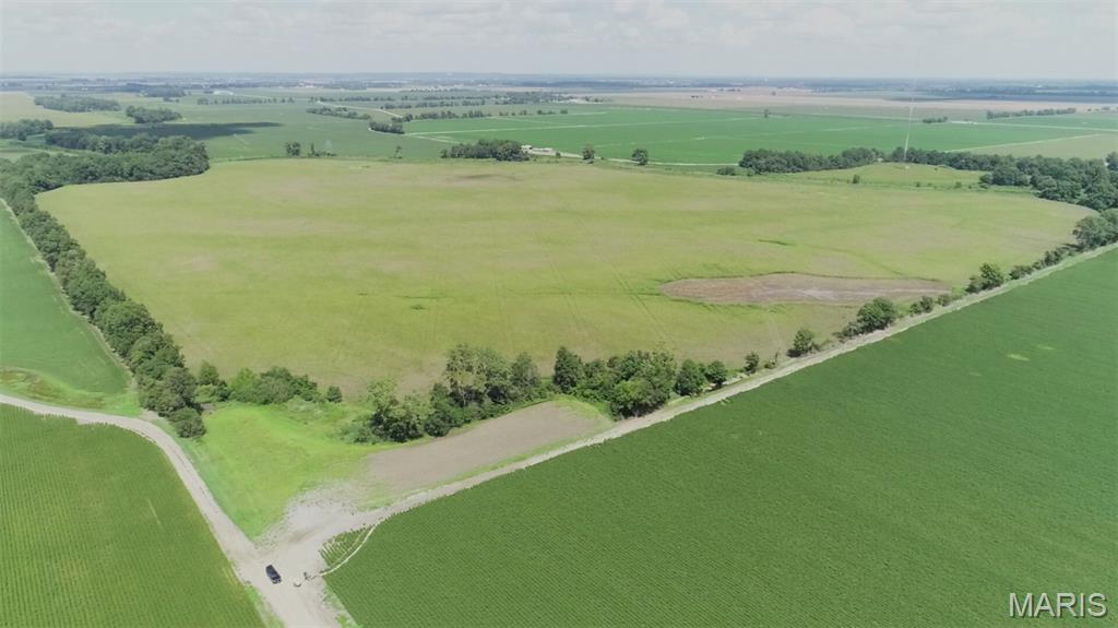 This 150+/- acre rowcrop farm in Stoddard County is located just west of Little River, approximately 2 miles northwest of Tanner, 7 miles northwest of Sikeston, and 8 miles southeast of Bell City.  Approximately 133.3 acres (89%) of dryland cropland and with the balance being woods and fence rows.  Sharkey silty clay loam and Sharkey silty clay soils.  Taxed as 149.87 acres.  FSA indicates 161.32 acres of Farmland and 137.68 acres of Cropland.