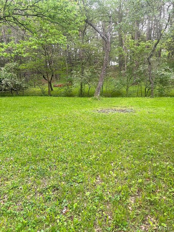 not in subdivision - Land
