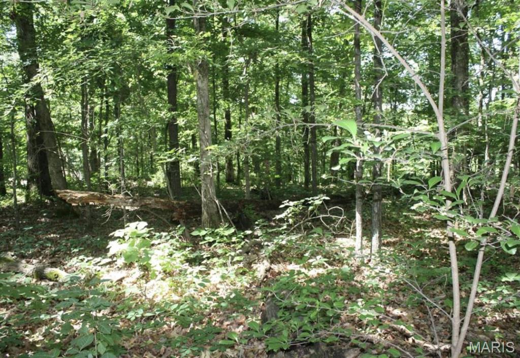 Mattingly - Farm