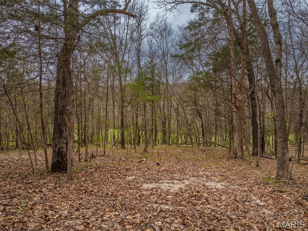 Build your getaway on this peaceful 2.7-acre wooded lot in Innsbrook Resort. Surrounded by mature white oaks and hickories, the gently sloped setting is ideal for a custom chalet and offers a quiet, private feel. The location is hard to beat. It’s a short walk to the historic district, Lake Alpine, the resort’s largest waterfall, and nearby hiking trails. Spend your days on the water at nearby Lake Alpine and your evenings around a firepit. This property gives you the ability to do both. Chalets are built with Innsbrook as the general contractor and there’s no required timeline to start construction. Build when you’re ready to build. Restrictions apply and homes are for second-home use only. Short-term rentals are allowed, offering future flexibility.  
A great opportunity to own a well-located lot and build something that fits your vision.