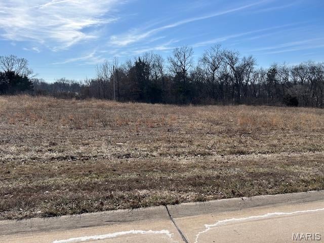 Introducing an exceptional commercial property on 1.73 acres of land! This prime location just off Wentzville Parkway and Luetkenhaus Blvd. offers a fantastic opportunity for businesses seeking a strategic and thriving address. Situated just off the highly sought-after Wentzville Parkway area, this property boasts impressive visibility, high volume traffic, and convenient access to major transportation routes. With its versatile layout, ample space, and nearby amenities, this commercial property is perfectly suited for a wide range of businesses.  Don't miss out on the chance to establish your brand and elevate your business in this thriving location. Explore the endless possibilities and secure your spot on Main Plaza Drive just one block off of Wentzville Parkway and Luetkenhaus Blvd. with easy access to HWY 40/61 and close to the GM Plant and surrounding Businesses.  This area is experiencing tremendous growth and will be part of the inevitable northward expansion of Wentzville..  Currently zoned Agricultural with Commercial rezoning to C3.   All public utilities available. Tax ID 4-0013-8735-00-0005.0000000.