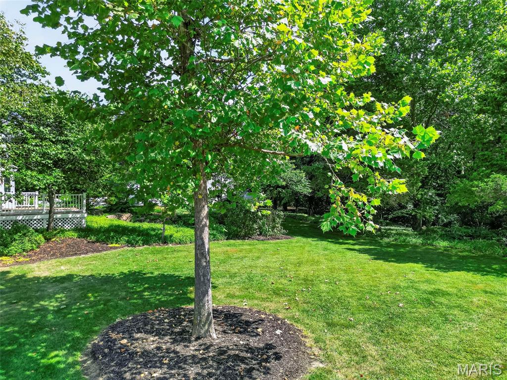 Newport Meadows Future Dev - Residential