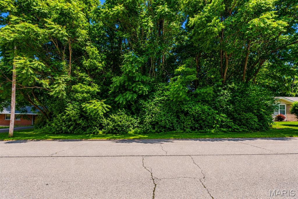 Great opportunity to own a .23-acre wooded lot located in Fairview Heights, nestled between two established homes! Seller is even open to seller financing! This property offers the perfect blend of privacy and convenience, with mature trees creating a peaceful setting while still being located in an existing residential area. Whether you’re looking to build your dream home, an investment property, or hold for future potential, this lot provides endless possibilities. TLC and clearing will be needed to bring your vision to life, making this the perfect opportunity to create exactly what you want. Utilities nearby and a desirable location make this a fantastic opportunity to create something special!