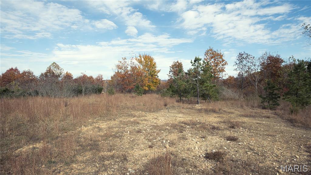 Seller financing available!

Discover an exceptional 570-acre property offering unmatched privacy, outstanding recreational opportunities, and multiple potential build sites in the heart of the Missouri Ozarks. Whether you're searching for a private hunting retreat, a family legacy property, or the perfect location to build your dream home or lodge, this remarkable tract offers endless possibilities.
A well-established network of trails provides easy access throughout the property, making it ideal for ATV riding, hiking, horseback riding, and exploring the diverse landscape. The rolling terrain, mature timber, and abundant wildlife create a true outdoor paradise with excellent hunting for deer, turkey, and other native game.
Several scenic build sites offer the opportunity to construct a secluded cabin, hunting lodge, or forever home with breathtaking views and complete privacy.
Located just minutes from the Black River, you'll enjoy convenient access to floating, fishing, kayaking, swimming, and other water recreation. The property is also close to Sam A. Baker State Park, where hiking, camping, horseback riding, and countless outdoor adventures await.
Whether you're looking for a premier recreational getaway, a hunting destination, or a one-of-a-kind investment in the Ozarks, this extraordinary 570-acre tract delivers the space, beauty, and versatility to make your vision a reality.
Schedule your private tour today and experience everything this incredible property has to offer.