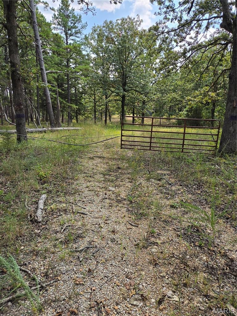 10.91 +- acres with home that has burned. Concrete foundation is in good shape. The home (built in 1992) has a well and septic. The home site provides a beautiful view from the back. There is a second well and septic that could service a second home/mobile home on the property. National Forest across the road has delivered the family a lot of hunting enjoyment and plenty of meat. Peaceful solitude is yours with this property. There are trees that have been blown down from storms and will need to be cleared for firewood or possibly logged professionally. Sellers are selling "as is, where is" and will not pay for any inspections, repairs, warranties or removal of any items on the property. Sellers have not lived on the premises. Buyers to verify all information to their satisfaction. Buyers should be accompanied by their agent. Park at gate and walk in using caution.