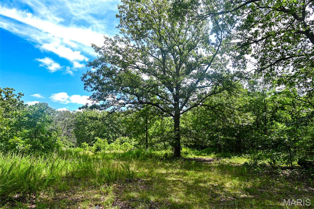 Discover this exceptional 144Â± acre recreational and hunting property in St. Clair County, Missouri. Predominantly covered in mature hardwood timber, the property features a healthy mix of white oak, red oak, and hickory trees. Several secluded openings are already in place, offering ideal locations for food plots and wildlife management. A well-established network of two-track trails provides excellent access throughout the property, making it easy to navigate in a variety of hunting conditions and wind directions. The landscape offers numerous ridge tops, bedding areas, and natural pinch points that create outstanding opportunities for deer hunting. Adding to its appeal, the property borders large tracts of Corps of Engineers land that can only be accessed through this property or by boat, effectively expanding the amount of acreage available for recreation and hunting. One of the trails leads directly to a quiet cove on Truman Lake, providing convenient access to fishing and other outdoor activities. Portions of the timber may also offer future harvest potential, creating an opportunity for additional income through responsible timber management. The property includes a well-maintained trailer that would make an excellent hunting cabin, weekend retreat, or base camp for outdoor adventures. The trailer is equipped with both a water well, lagoon, and electricity, providing the comforts needed for extended stays. A small storage shed is also included, offering space for a lawn mower, ATV, hunting equipment, tree stands, or blinds. Whether you're looking for a turnkey hunting property or a peaceful getaway, the existing improvements add immediate functionality and value. Located along Truman Lake, this property offers easy access to several nearby boat ramps, making it convenient for boating, fishing, and water recreation. The property is approximately 10 miles from Osceola and 25 from Clinton.