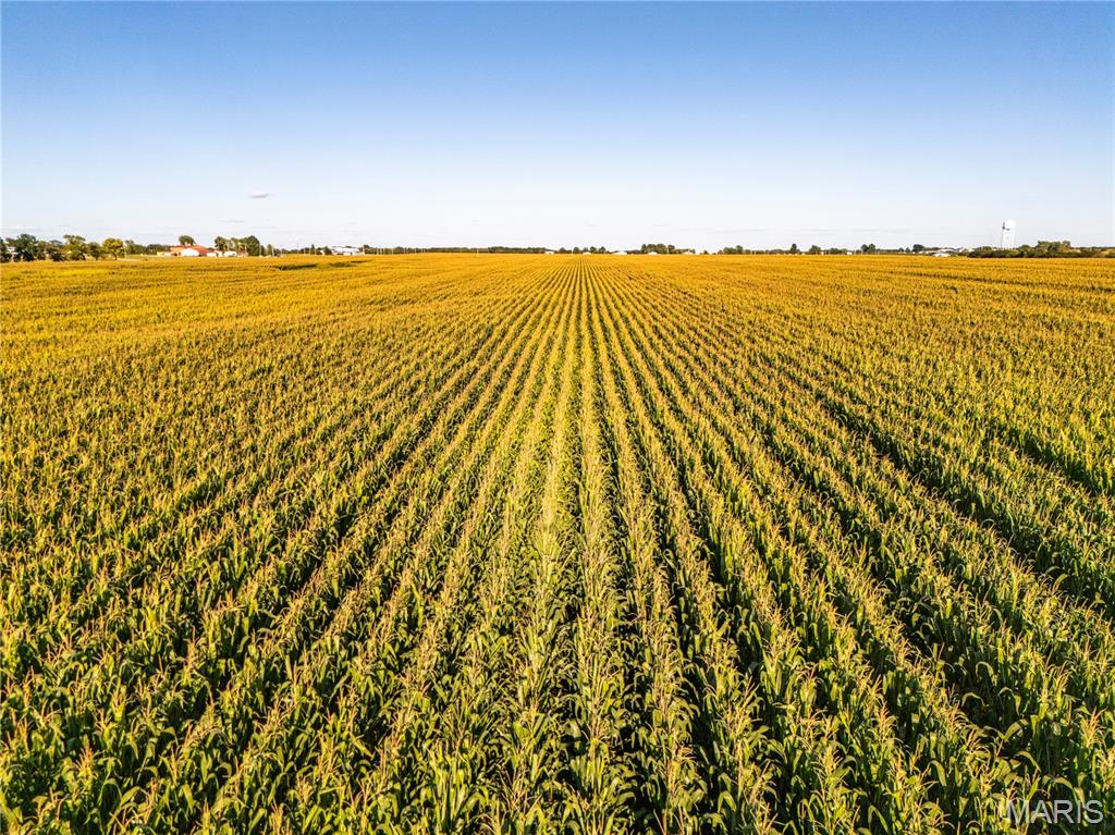 NA - Farm