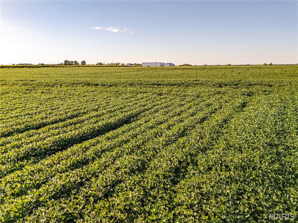 NA - Farm