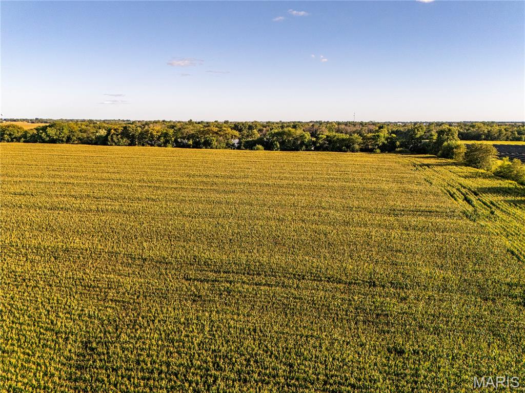 NA - Farm