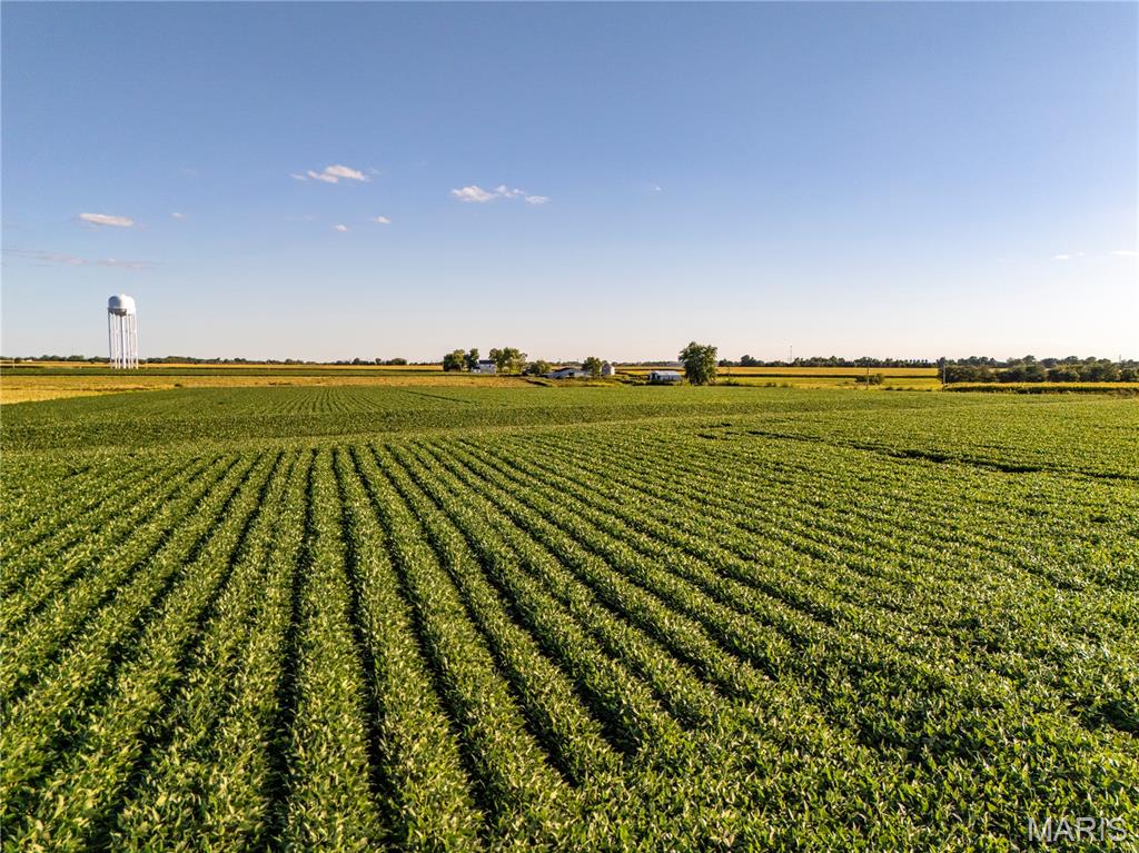 NA - Farm