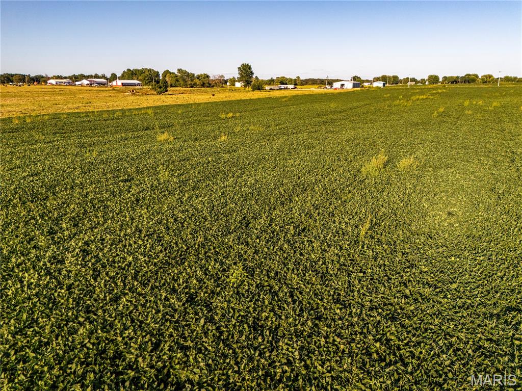 NA - Farm