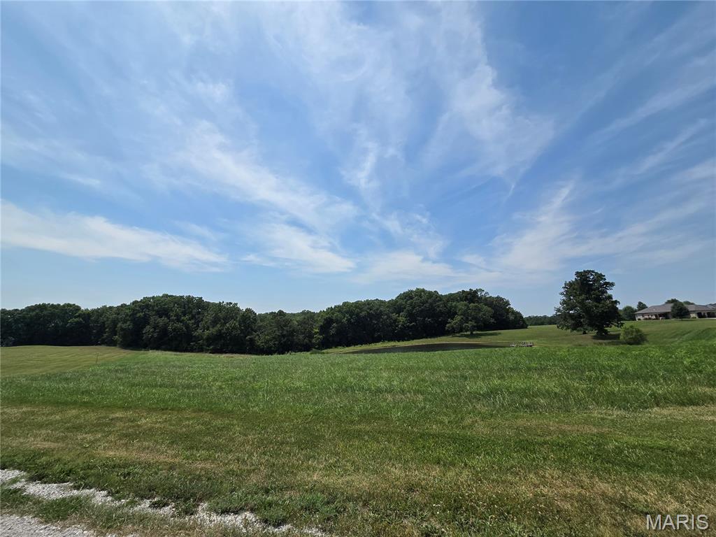 7 incredible acres in Troy school district with stocked pond, multiple building sites, mature trees, in established subdivision with paved roads.  The large trees give the property tons of character. Great spots for a home that would entail minimal clearing. Perfect lot for your dream home, Silex address and Troy schools