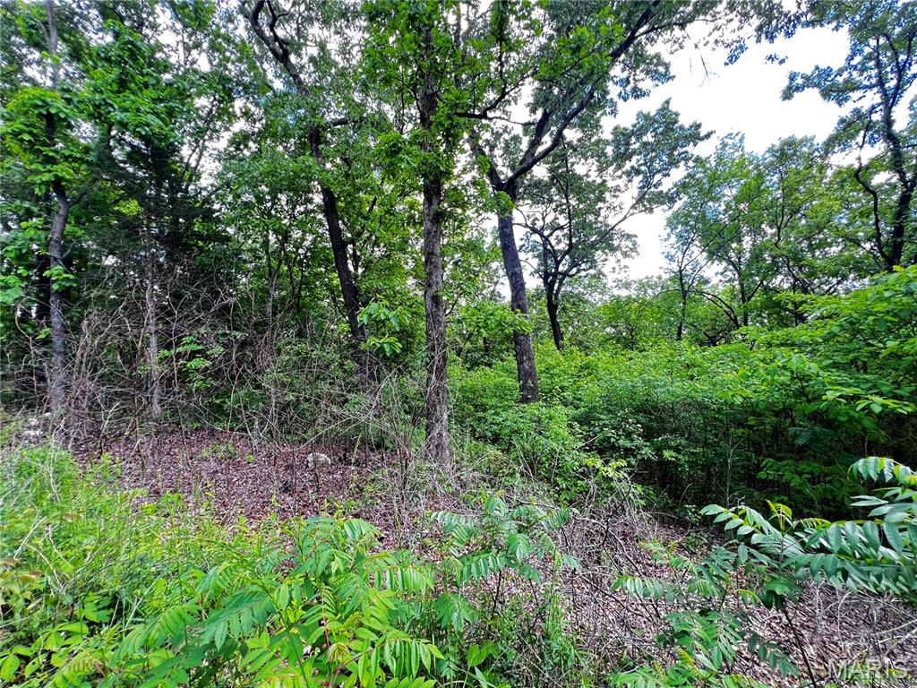 Goose Creek - Land