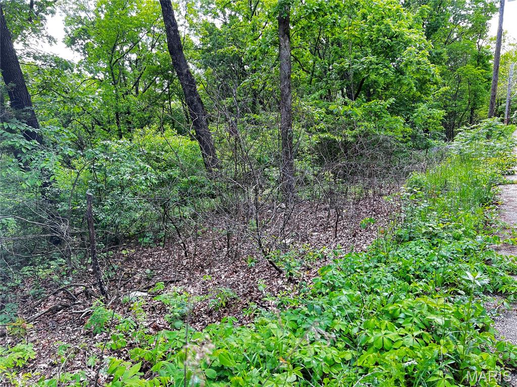 Goose Creek - Land