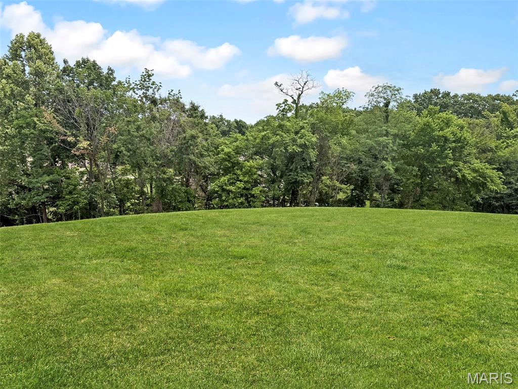 Build your dream home on this 1-acre homesite offering scenic views and a peaceful setting. This premium lot features public water and sewer hook-ups, underground utilities, concrete streets with curbs and gutters, high-speed internet access, and protective covenants. Tucked away at the end of a quiet cul-de-sac and backing to mature trees, this property also includes access to a beautifully stocked 4+ acre lake. Conveniently located near Frankin County Country Club and just minutes from vibrant downtown Washington and the riverfront. An exceptional opportunity to enjoy upscale living in a beautiful luxury home community!
