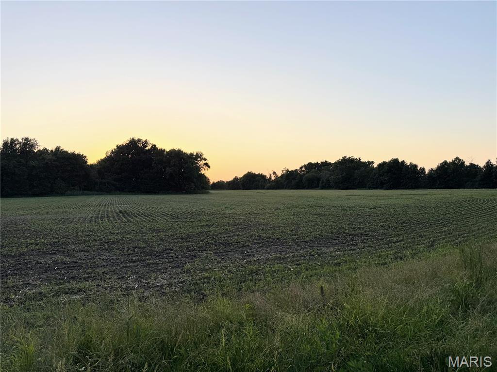 N/A - Farm