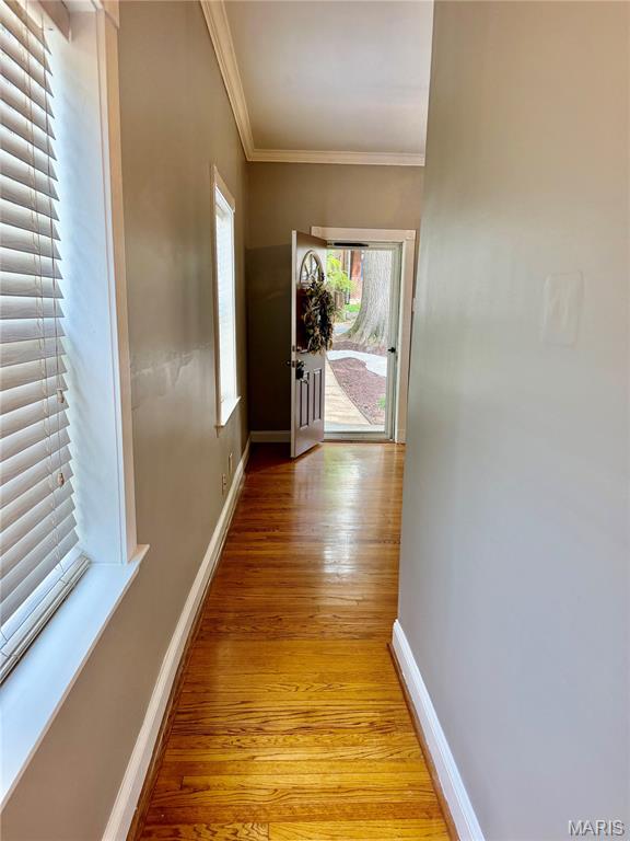 Shields Forest Park Add 03 - Residential Lease