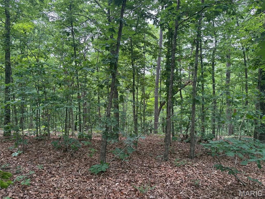 40 wooded acres m/l located 12 miles south of Ellington on Hwy 21. Direct access to property with highway frontage. Some marketable timber, building spot, or prime hunting. The possibilities are endless with this wooded acreage. No utilities. Just minutes to Current River and Clearwater Lake.