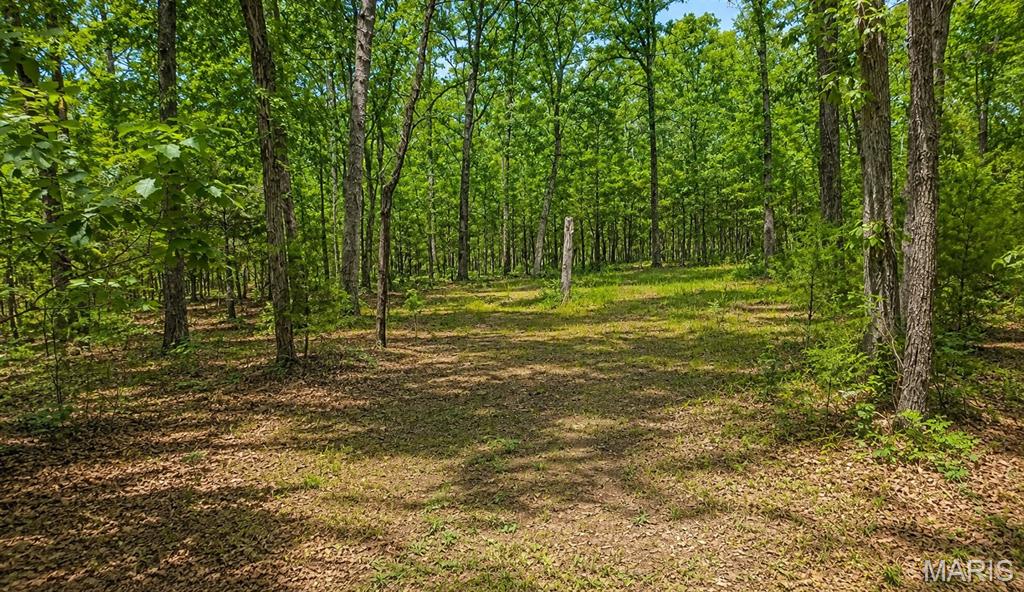 Victoria Woods - Land