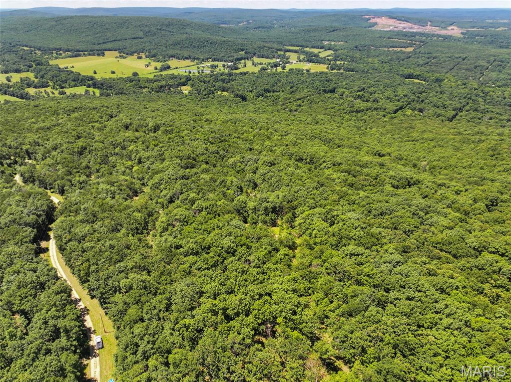 Located in southwest St. Francois County, this all-timber tract offers a versatile opportunity for recreation, hunting, or a future homesite. The wooded landscape provides privacy and natural habitat for whitetail deer, wild turkey, and other native wildlife, making it an attractive option for outdoor enthusiasts. Electric is available along the county road, offering added convenience for those considering a cabin or country home. The property's timbered setting provides a secluded atmosphere while maintaining road frontage and utility access. Whether you're looking for a recreational getaway, a hunting property, or a tract with potential for residential use, this property offers a combination of natural features and accessibility. Spend your time exploring the woods, establishing hunting locations, or planning your future build site while enjoying the quiet setting of rural St. Francois County. The property's timber creates excellent cover for wildlife and provides opportunities to enjoy the outdoors throughout the seasons. Its location in southwest St. Francois County also offers convenient access to nearby communities while maintaining the feel of a private rural retreat. If you have been searching for a wooded tract with utility access, hunting opportunities, and potential building locations, this property is worth considering.