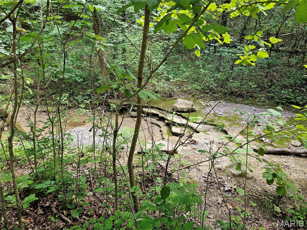 Raintree Plantation Sec 15 - Land
