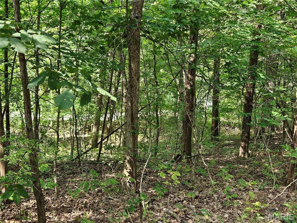 Raintree Plantation Sec 15 - Land