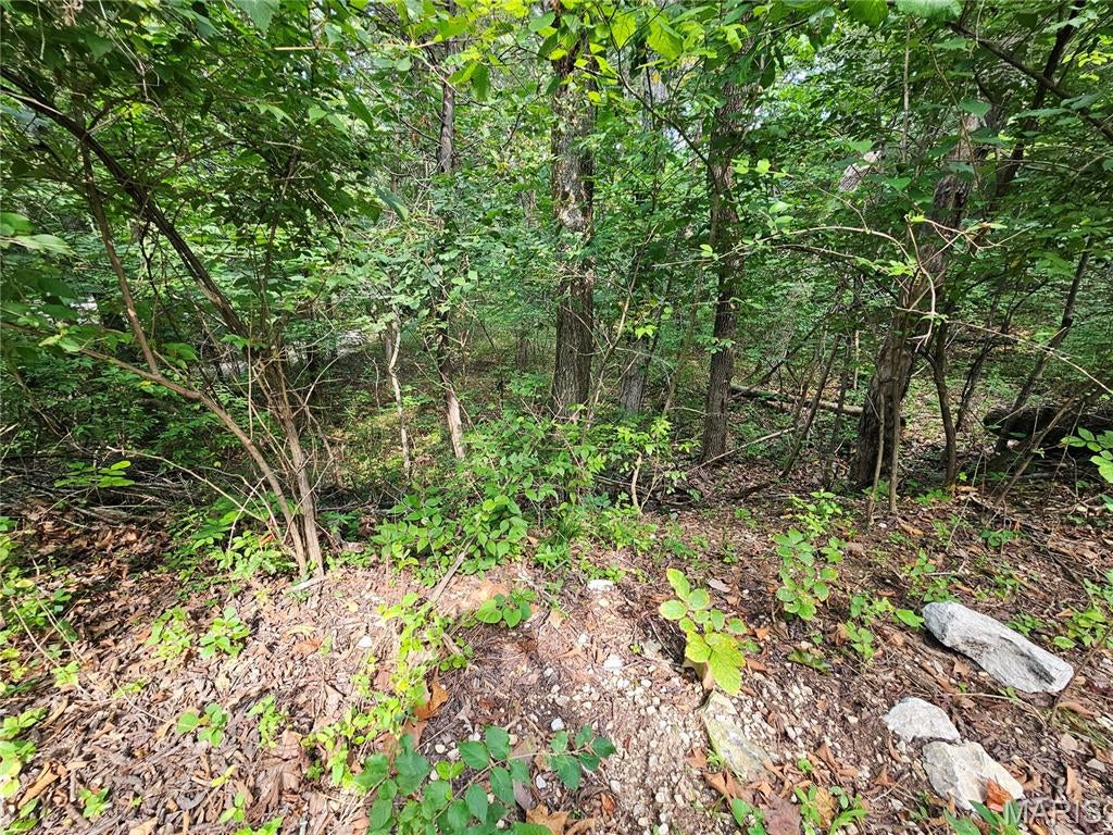 Raintree Plantation Sec 15 - Land