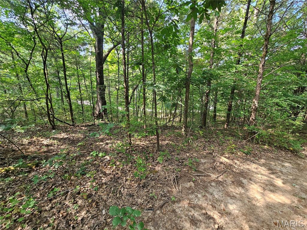 Raintree Plantation Sec 15 - Land