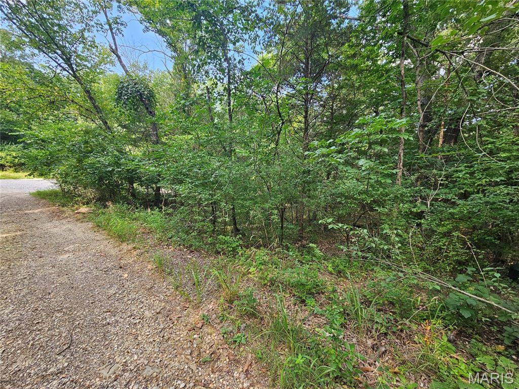 Welcome to 9468 Bent Tree Drive, in the highly desired Raintree Plantation. Tucked back on a quiet street in the neighborhood surrounded by vacant lots. This lot also backs up to the Hillsboro ball fields, giving you the added privacy during off seasons and no homes behind your wooded property line. The lot is near the back entrance, saving you the time of having to drive through the entire community! This is an opportunity to build your dream home in this gated and private neighborhood! Or simply own a lot to gain access to the many amenities that Raintree offers! Enjoy access to the private lake, beach, golf course, pool, clubhouse, fitness center, pickleball courts, yearly activities, and amenities this neighborhood has to offer! Please reach out to the Raintree office to obtain a copy of the rules/indentures/land usage rights. Buyer to verify schools for accuracy. Buyer to get survey to determine exact boundary lines. This lot is a great value for the neighborhood! Schedule to see this in person! Please note that the HOA fee is annual, but there is a secondary fee for the country club social membership. Reach out to Raintree for those membership levels and costs.