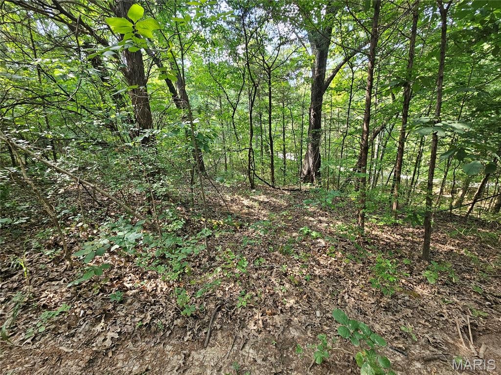 Raintree Plantation Sec 15 - Land