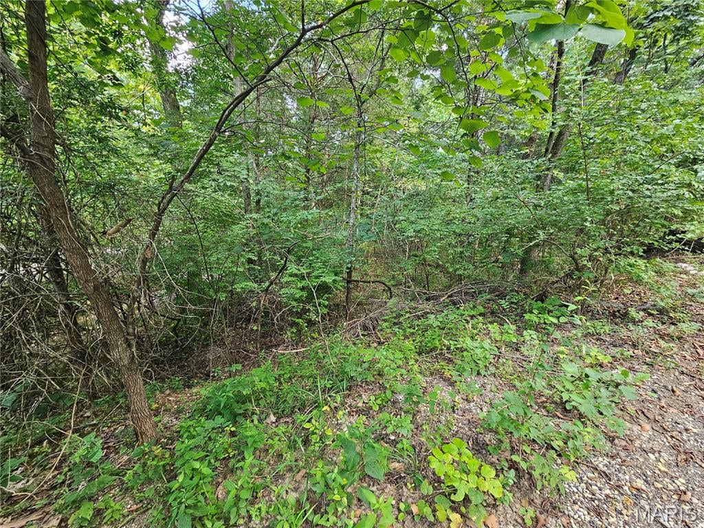 Raintree Plantation Sec 15 - Land
