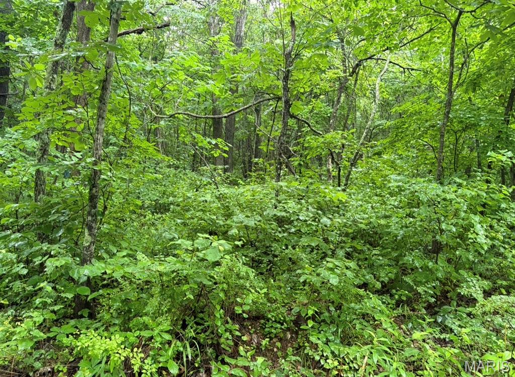72 m/l wooded acres located between Ellington and Piedmont is an ideal area for RV/camper site and abundant hunting. Surrounded by public ground and located near the beautiful Clearwater Lake this recreational property will have a lot to offer!