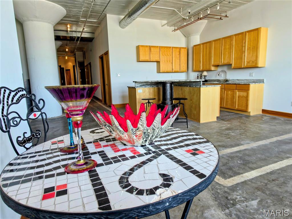 City Museum Lofts - Residential