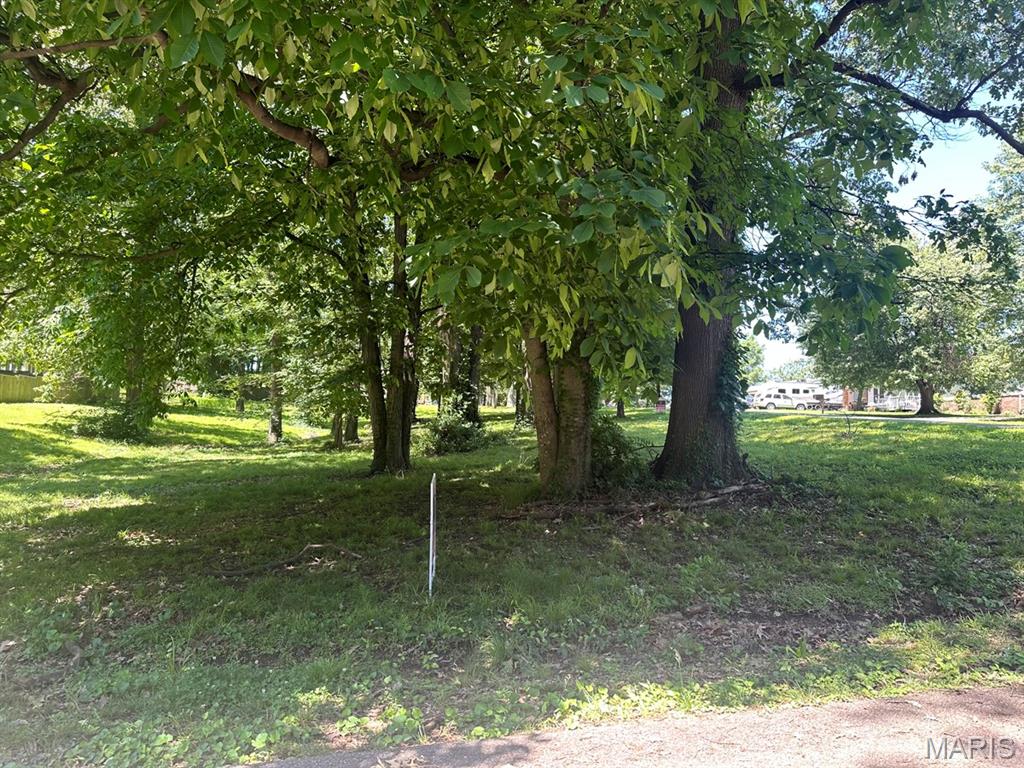 This property offers a fantastic opportunity for anyone looking to build their dream home in a desirable residential area. Situated on a corner lot, it features mature trees, providing both privacy & aesthetic appeal. Located near Dexter schools, ideal for families. The lot has approximately 225 feet of frontage on Lewis Street & 110 feet on Albert Street, offering ample space & accessibility. The area is serviced by an asphalt road, ensuring easy access year-round. The property lies within city limits, meaning city water & sewer services should be available. As a corner lot, it offers unique potential for various building designs and landscaping options, allowing you to maximize your vision for your home. However, it's subject to city covenants, which may govern aspects of construction & use. This tract presents a perfect canvas for homeowners seeking a serene yet convenient lifestyle, blending nature with nearby urban amenities. Don’t miss the chance to make this lot your own! Additional Rooms: Other