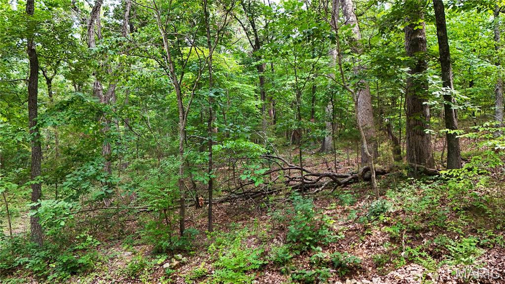Raintree Plantation Sec 15 - Land