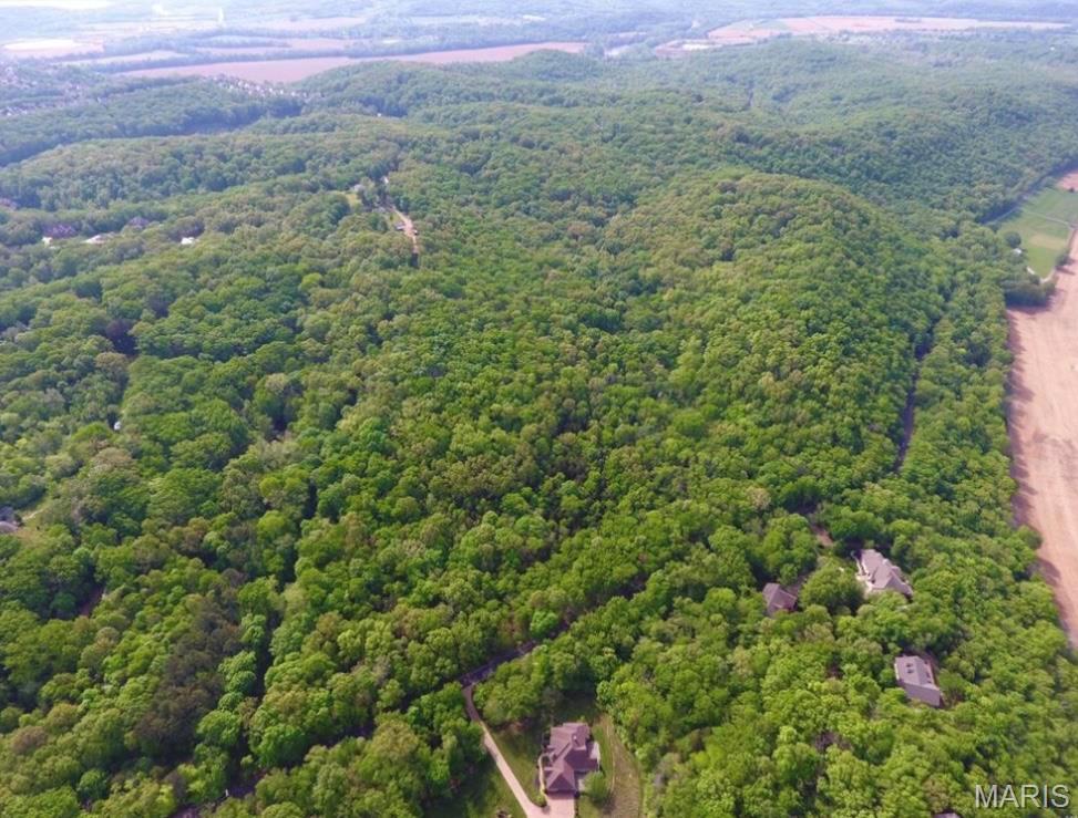 This stunning 46+ acre lot offers space to spread out or develop a multi-lot property, with the perfect blend of rural tranquility yet convenient access to town. The view atop the land offers the most picturesque scene of the River Valley in all of its seasonal splendor. The terrain is diverse yet accessible, ideal for building your dream home, starting a hobby farm or developing multiple residences. This property enjoys a peaceful setting with ample privacy, yet it's a short drive from downtown Eureka or Pacific. The possibilities are endless with this rare opportunity to own a slice of paradise where nature meets convenience. Rockwood Schools.
