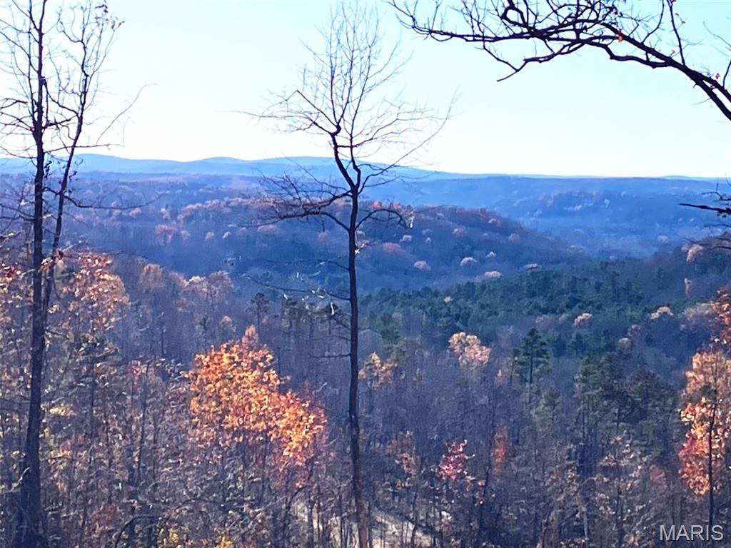 This 20 acres with a magnificent Ozarks view includes a deeded access road to the property, and deeded access to a nearby shared spring-fed stream, and sits within about a mile of Mark Twain National Forest. 
This ridgetop oasis comes with NO restrictions, and can be had for less than the price of a new truck or SUV. 
Hunt, camp, build, ride ATVs on your own land, or fish or play in the shared creek section ... endless opportunities.
This property is wooded and rolling. You are within a mile of the 22,176-acre Mark Twain National Forest ... public ground where you can also hunt, ride and explore. All this, and only about 2 miles by road from U.S. 67.
Use this wooded, secluded property as a base camp for adventure or build your forever home and live out your days in secluded bliss. This and surrounding land is teeming with deer, turkey and small game, and the occasional feral hog or maybe a black bear.
There is additional acres available which adjoin this piece if interested.