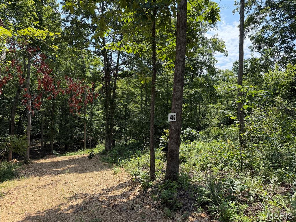 Discover the beauty, freedom, and tranquility of the Missouri Ozarks with these exceptional land offerings located south of Fredericktown, just off Highway 67 and near the Mark Twain National Forest. With multiple tracts and a variety of acreage options available, there is an opportunity to find the perfect piece of land to fit your vision. The nearby Mark Twain National Forest offers more than 22,000 acres of public land to explore, adding even more opportunity for outdoor adventure and recreation.
Many of these affordable wooded pieces offer beautiful natural surroundings, with select tracts featuring creek access, springs, and scenic views of the surrounding Ozark landscape. With no restrictions, you have the freedom to enjoy your property your way—whether that means hunting, primitive camping, building, riding ATVs, or simply finding a peaceful place to escape the pressures of everyday life. These tracts also offer access via a deeded easement gravel road leading from the county road to the property, while nearby Twelve Mile Creek provides additional opportunities to fish, explore, and enjoy the outdoors.
This is your chance to unplug, reconnect with nature, and enjoy the freedom and beauty of the great outdoors in Southeast Missouri. Whether you're searching for a private hunting retreat, a weekend getaway, a place to camp and explore, or land to create your own outdoor escape, there are many amazing tracts to choose from. Call today for more information and to explore the available options!