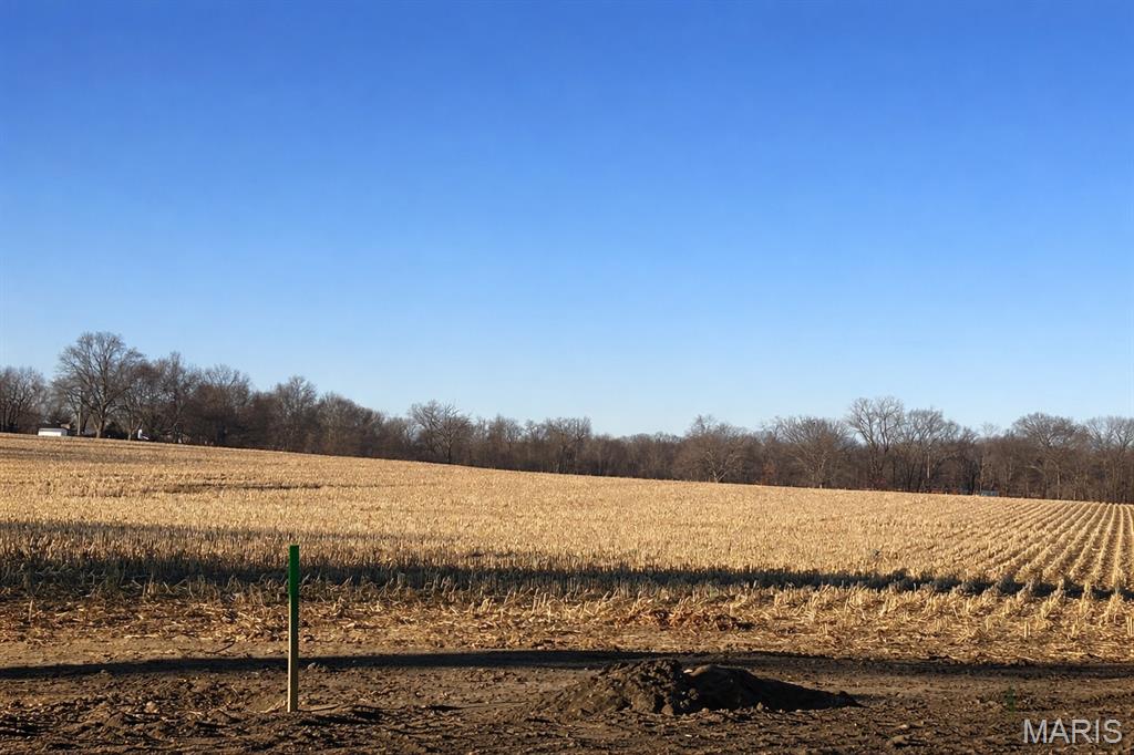 Build your dream home on this beautiful 4 +/- acre lot. Located just on the northern outskirts of Troy. Enjoy the perfect balance of a peaceful rural setting with the convenience of being minutes away from shopping, dining, and everyday amenities. This property offers the rare advantage of city sewer, city water, and natural gas making it an ideal and cost-effective homesite. A great opportunity to create your custom home with space, privacy, and modern utilities already in place! Call today to receive a copy of the building restrictions and to schedule a personal tour of Lot #8!