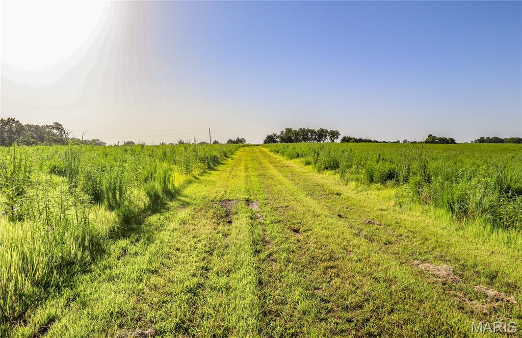 N/A - Farm