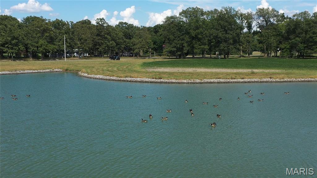 17.12 surveyed acres with a 5+- acre lake along IL Rt 146 at the North edge of Herrin IL .  It is zoned A1(Agriculture) but lays within the Herrin city limits. The setting is prime for possible residential development or a single home site with plenty of room for outbuildings overlooking the lake.  The lake is 12+- feet deep. Presently 6+- acres of leased cropland.  Taxes unknown - presently comingled with a 37.66 acre tract.