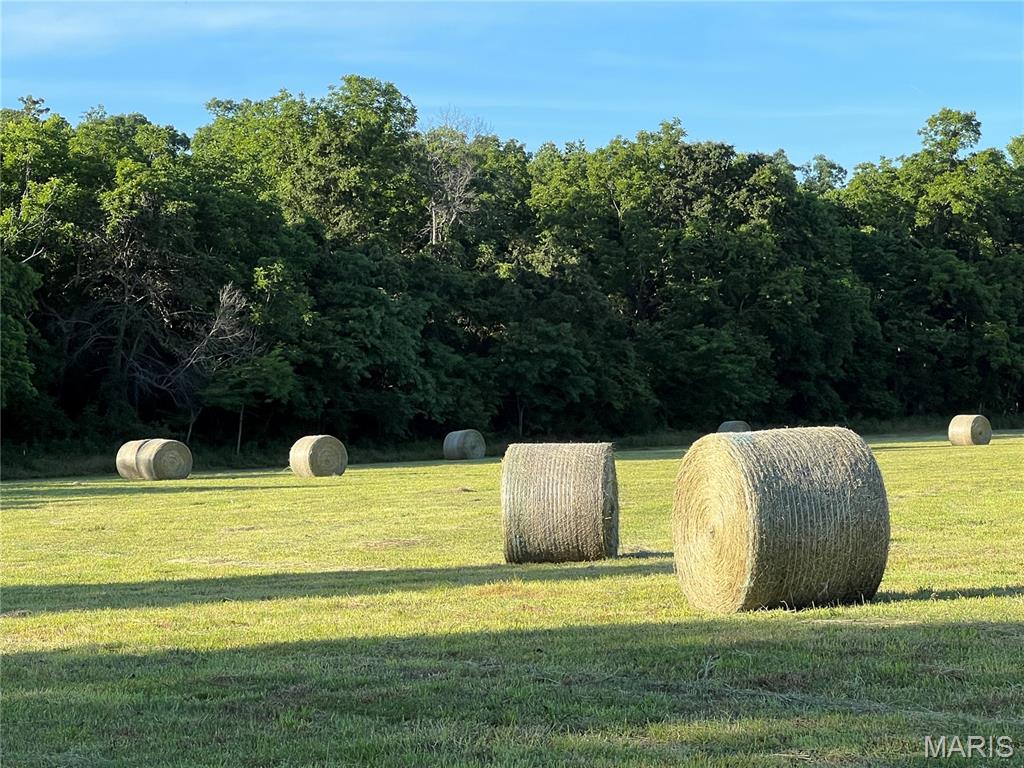 N/A - Farm