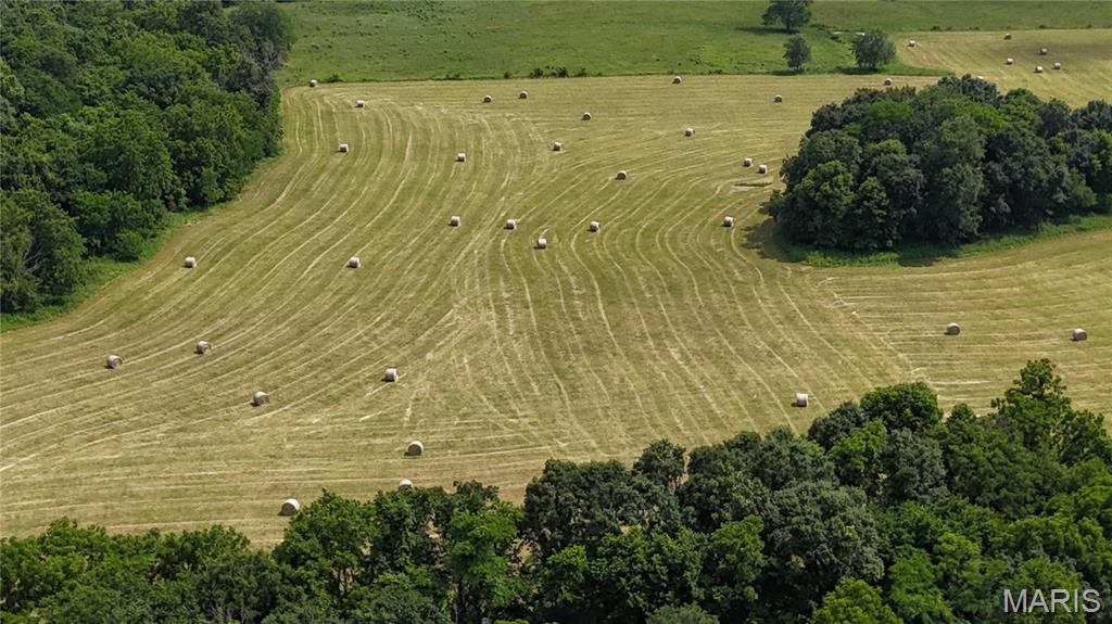 N/A - Farm
