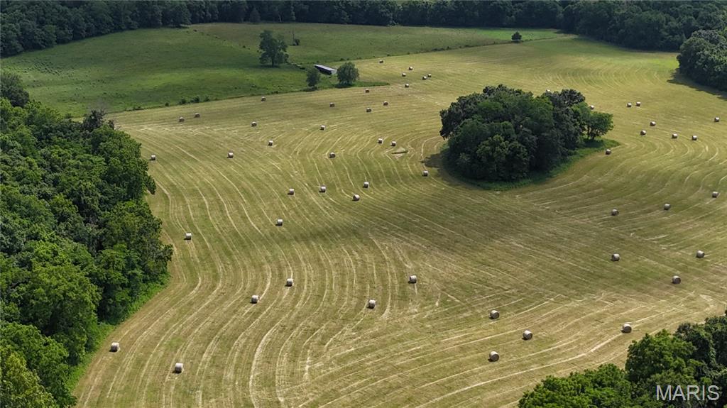 N/A - Farm
