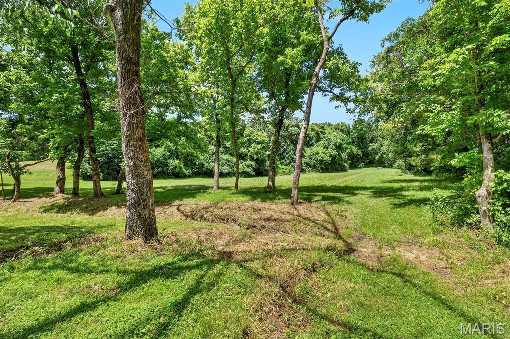 Forest Hills - Farm