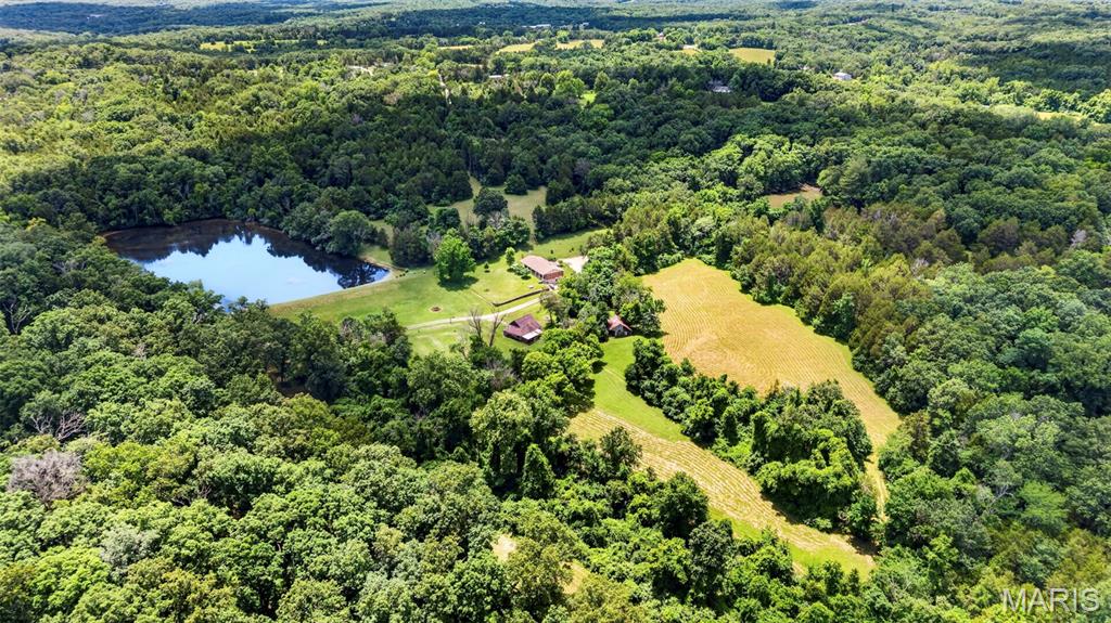 Forest Hills - Farm